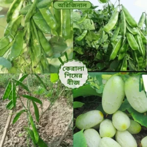 ২ প্যাকেট কেরালা সিমের বীজ সাথে ১ প্যাকেট শসার বীজ সম্পূর্ণ ফ্রি